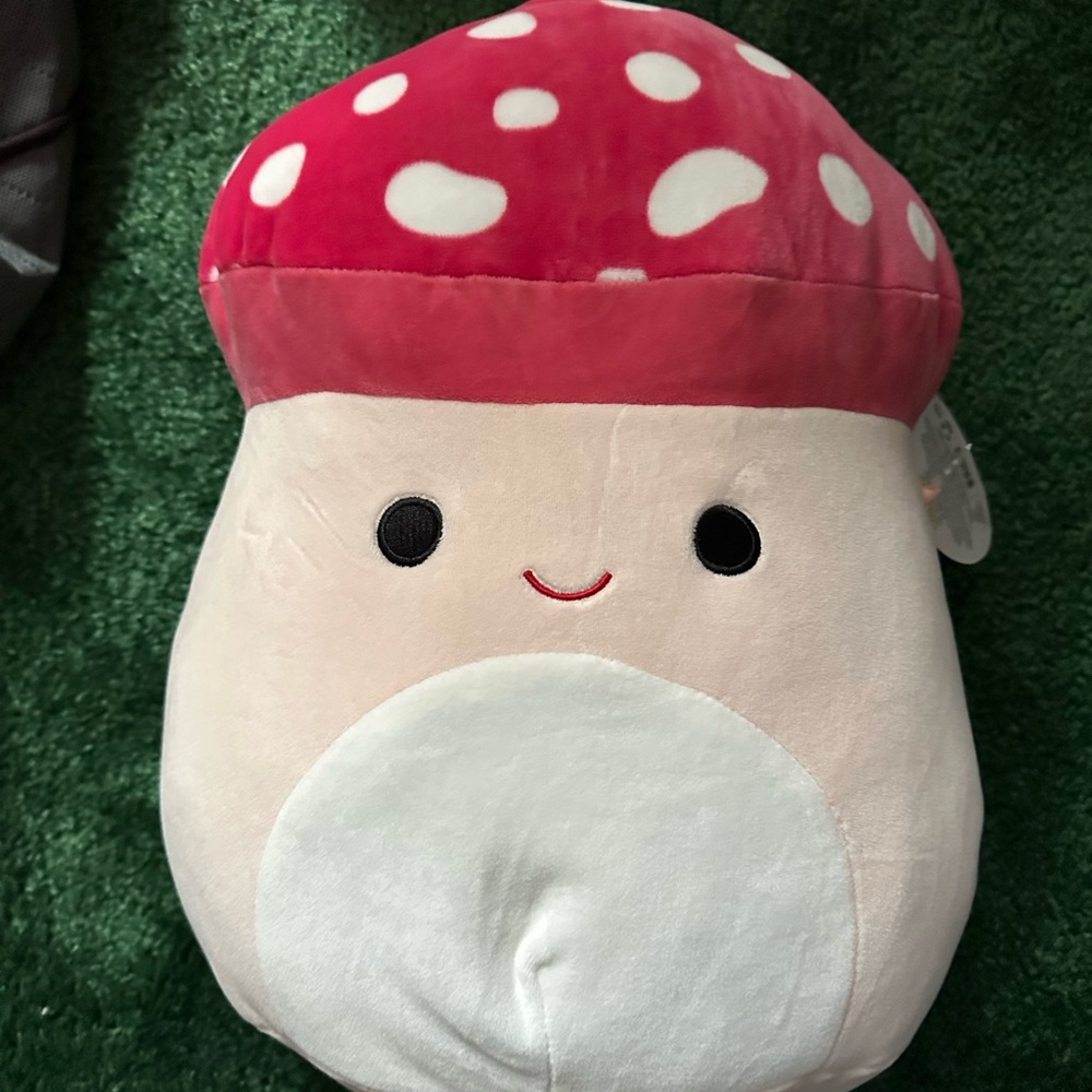 12” Malcom Squishmallow NWT
